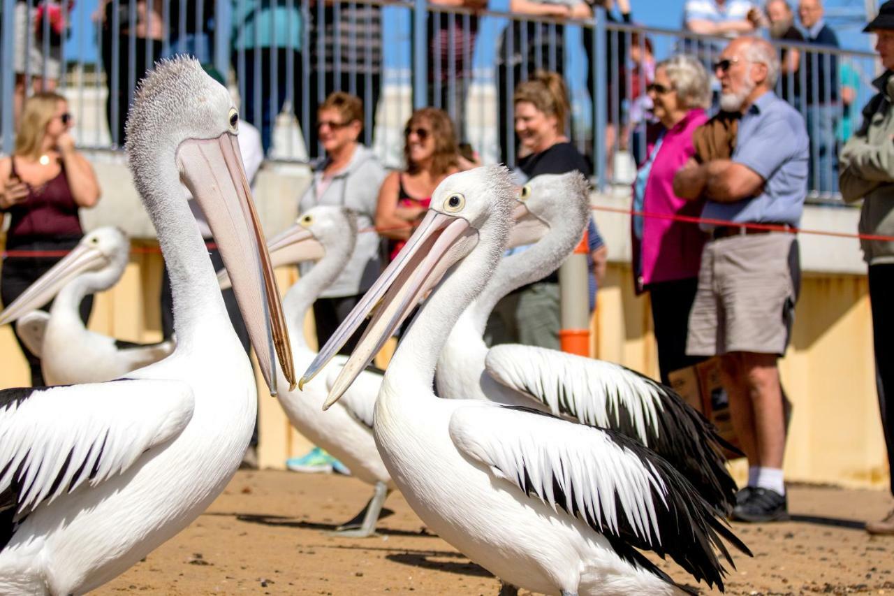 Big4 Ingenia Holidays Phillip Island Newhaven Exteriér fotografie